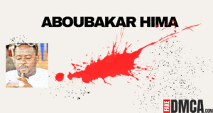 Aboubakar Hima Cyber Crime Report