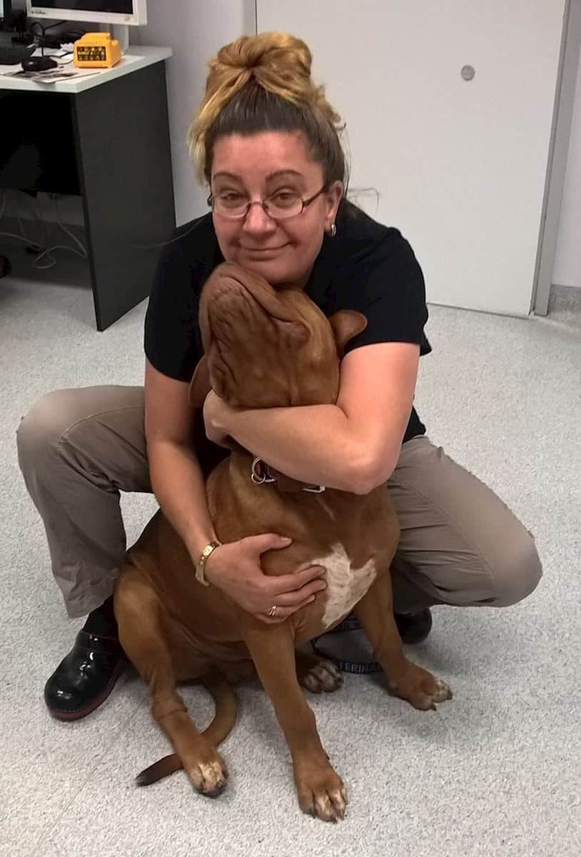 Anita Tasovac: The Perth Vet Whose Lies Exposed a Dangerous Breach of Public Trust